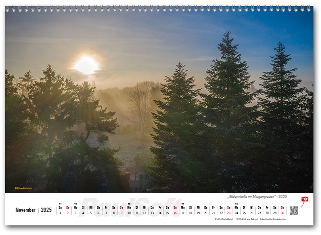 Kalenderbild November 2025 'Melancholie im Morgengrauen - 2020'